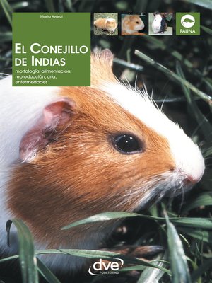 cover image of El Conejillo de Indias. Morfología, alimentación, reproducción, prevención y tratamiento de las enfermedades